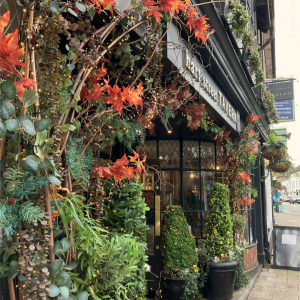 webscreenshot 20241016 170211